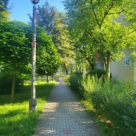 크라쿠프 Przytulne Mieszkanie Wola Duchacka 아파트 외부 사진