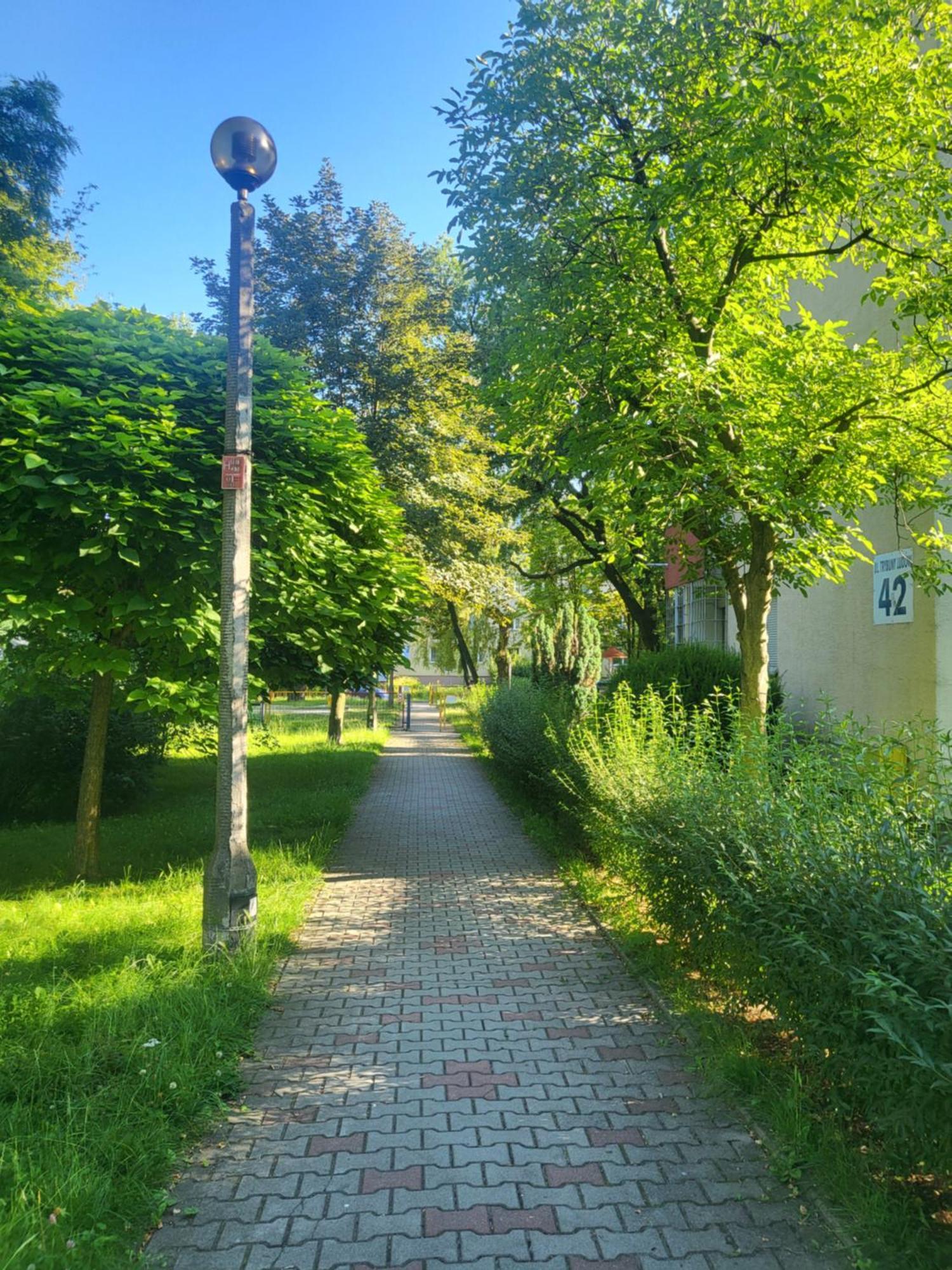 크라쿠프 Przytulne Mieszkanie Wola Duchacka 아파트 외부 사진